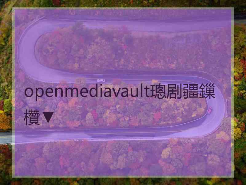 openmediavault璁剧疆鏁欑▼