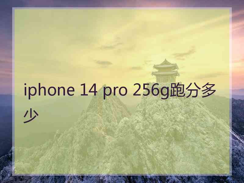 iphone 14 pro 256g跑分多少