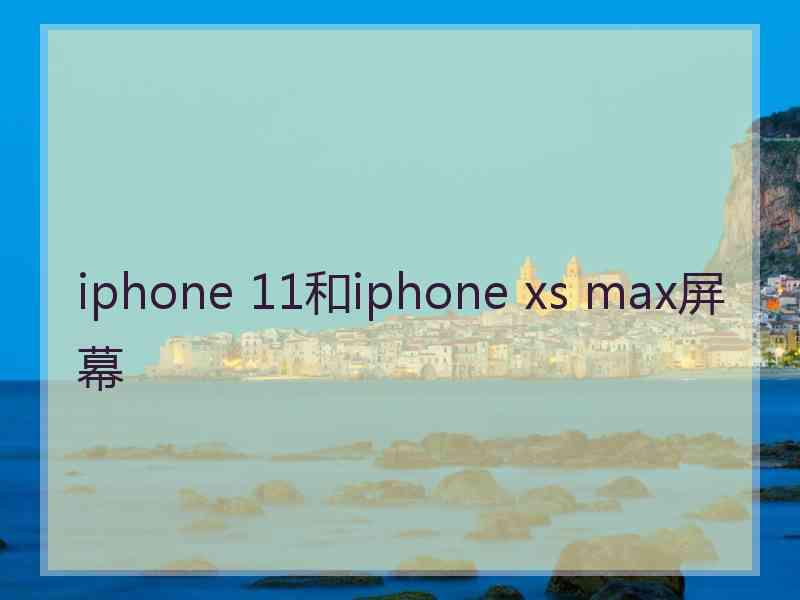 iphone 11和iphone xs max屏幕