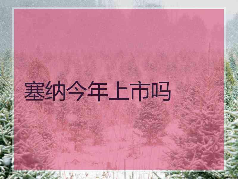 塞纳今年上市吗