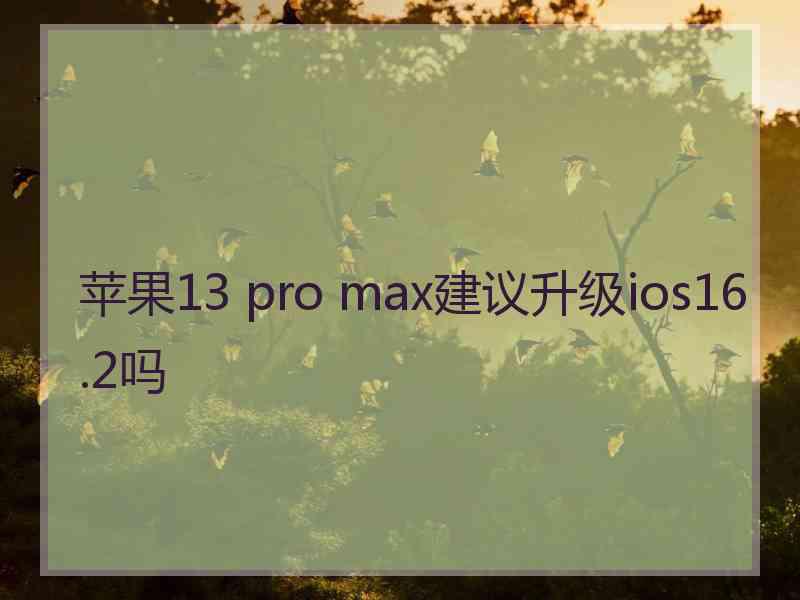 苹果13 pro max建议升级ios16.2吗