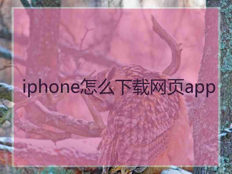 iphone怎么下载网页app