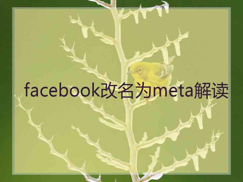 facebook改名为meta解读