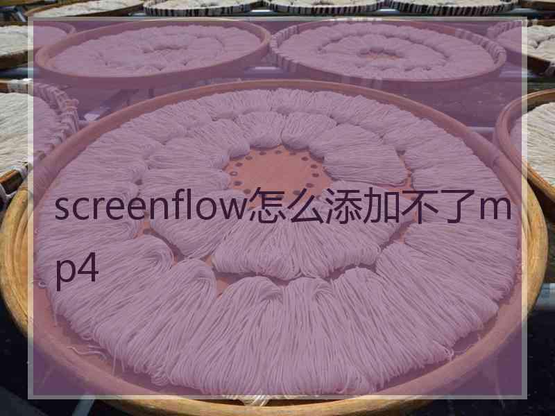 screenflow怎么添加不了mp4