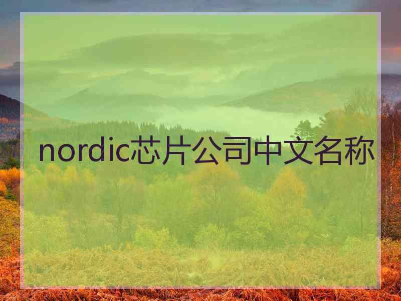 nordic芯片公司中文名称