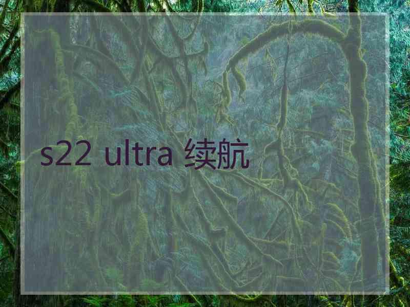 s22 ultra 续航