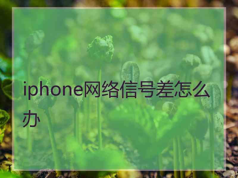 iphone网络信号差怎么办