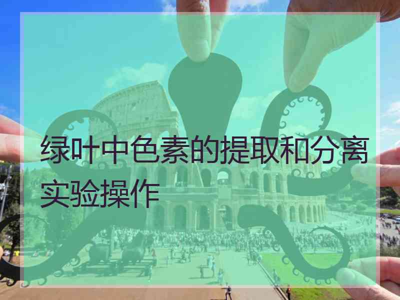 绿叶中色素的提取和分离实验操作