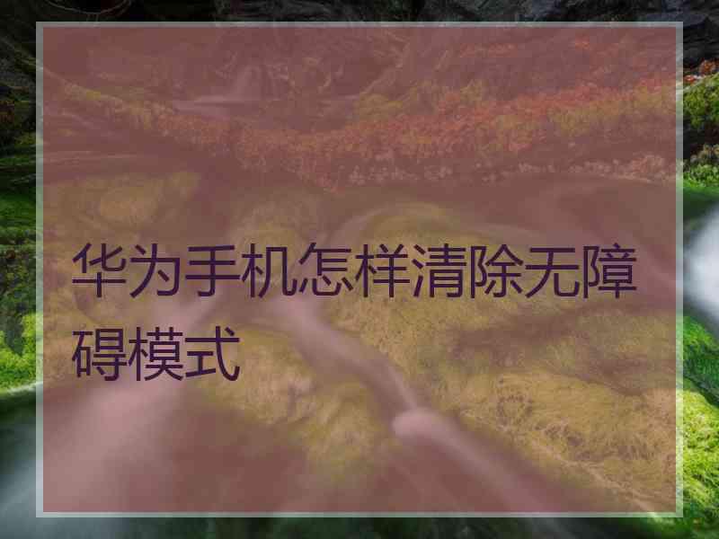 华为手机怎样清除无障碍模式