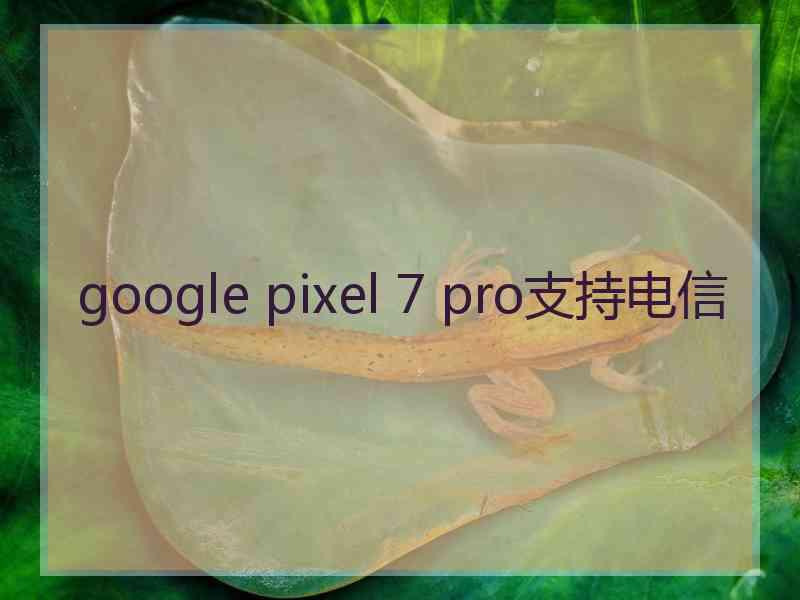 google pixel 7 pro支持电信