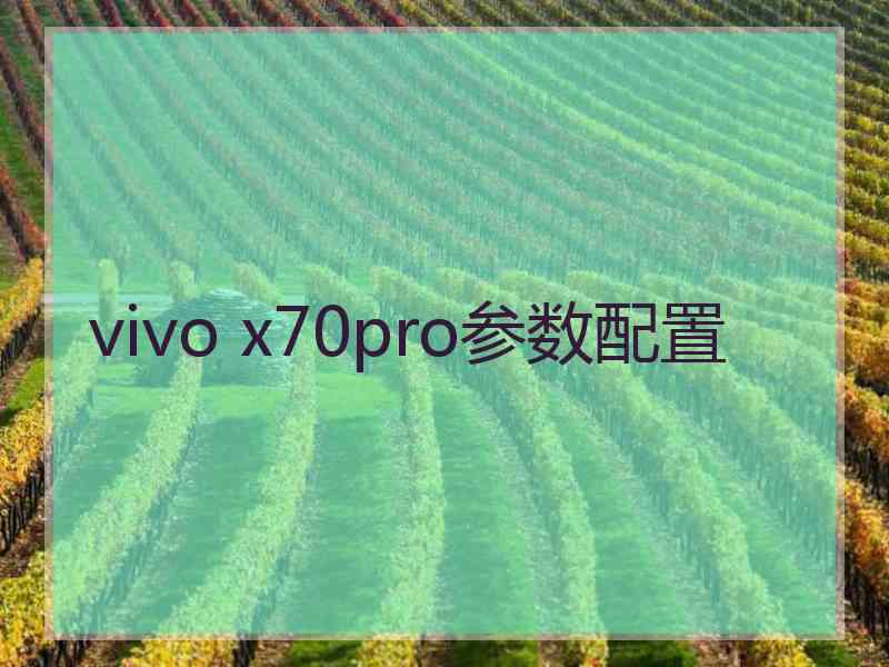 vivo x70pro参数配置