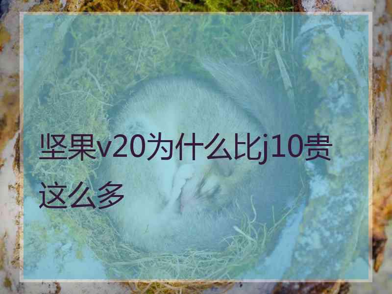 坚果v20为什么比j10贵这么多