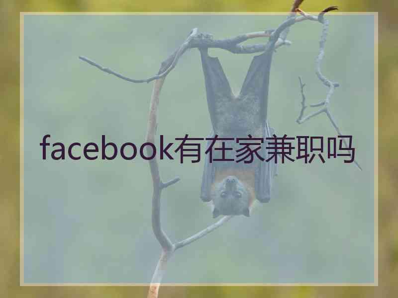 facebook有在家兼职吗