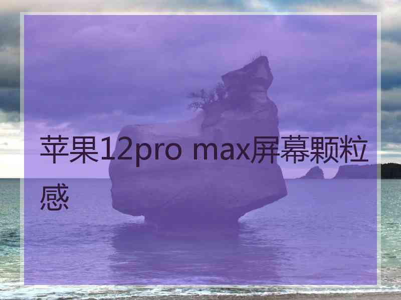 苹果12pro max屏幕颗粒感