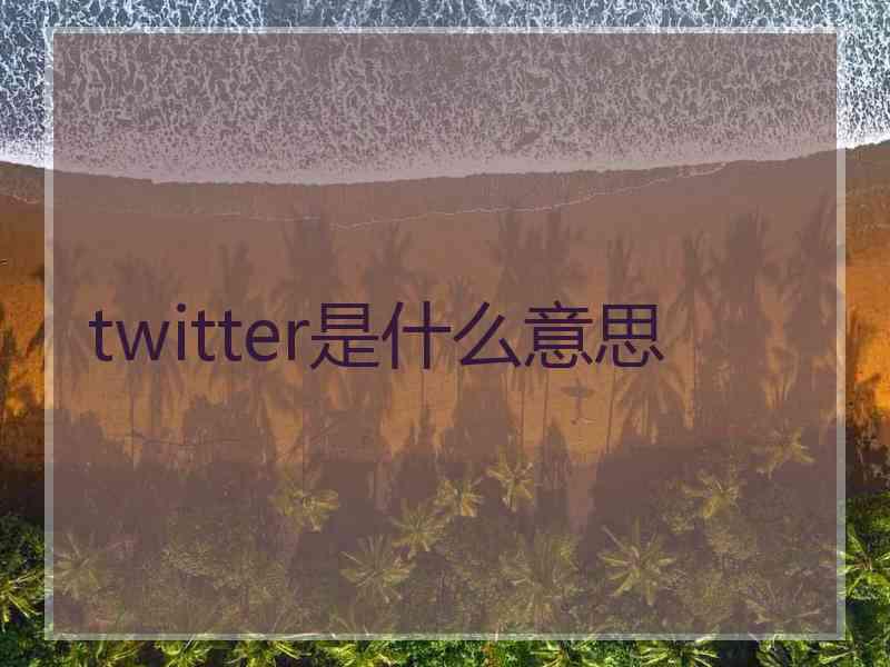 twitter是什么意思