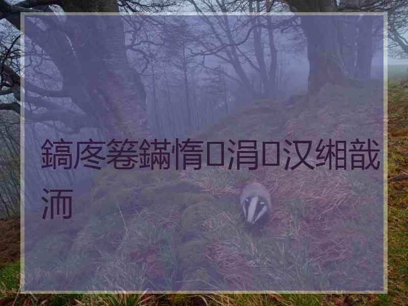 鎬庝箞鏋惰涓汉缃戠洏