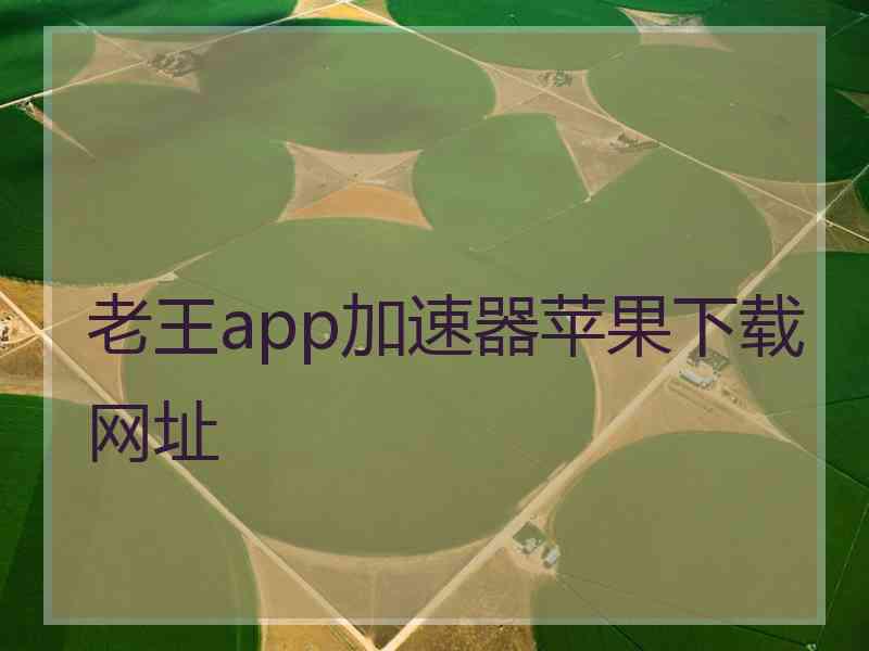 老王app加速器苹果下载网址