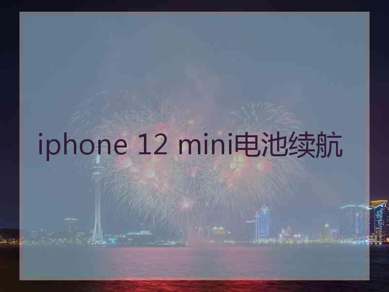 iphone 12 mini电池续航