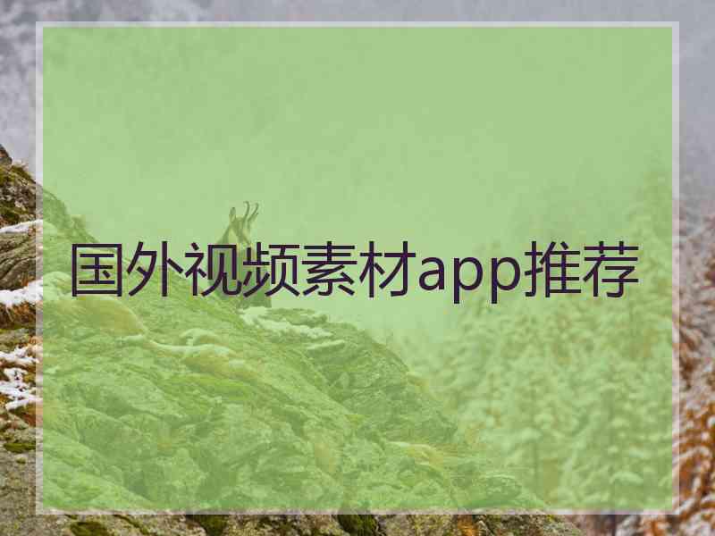 国外视频素材app推荐