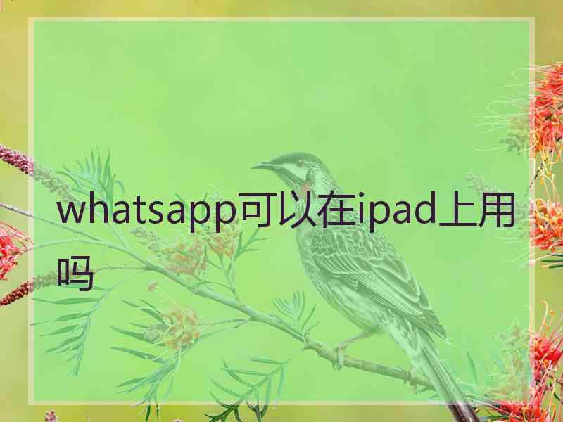 whatsapp可以在ipad上用吗