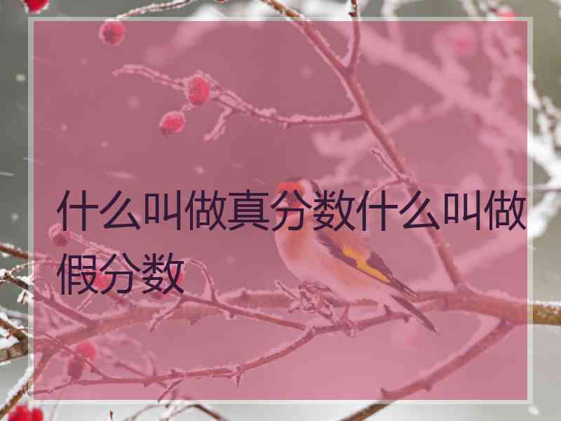 什么叫做真分数什么叫做假分数