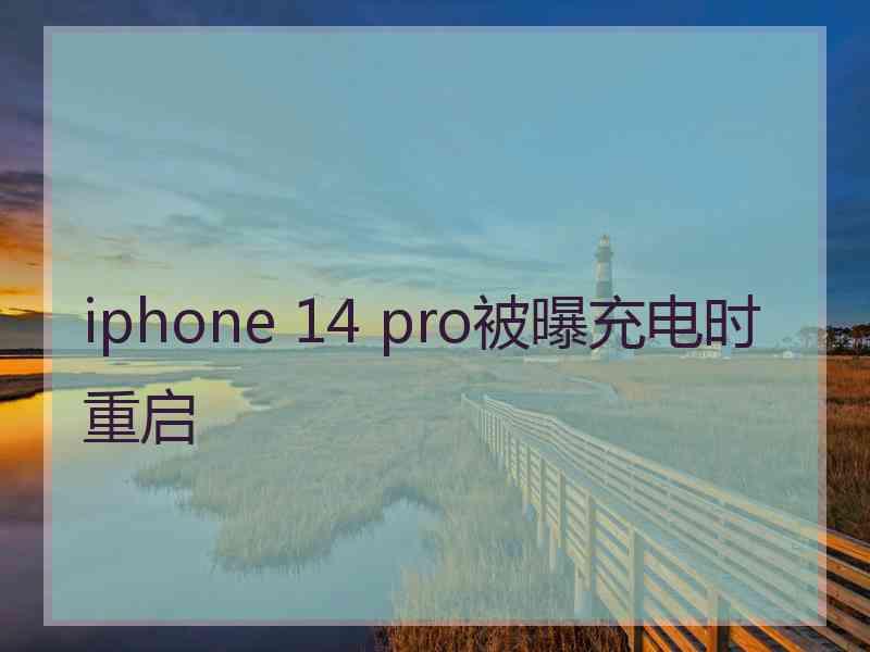 iphone 14 pro被曝充电时重启