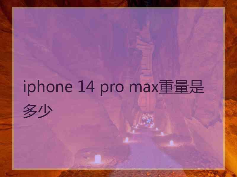 iphone 14 pro max重量是多少