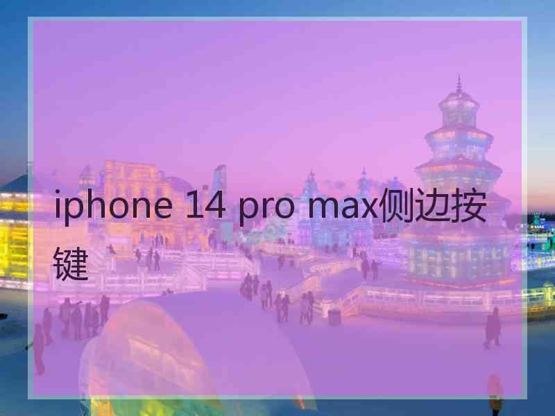 iphone 14 pro max侧边按键