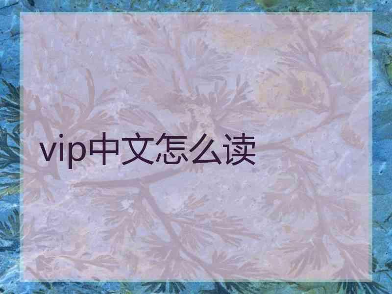 vip中文怎么读