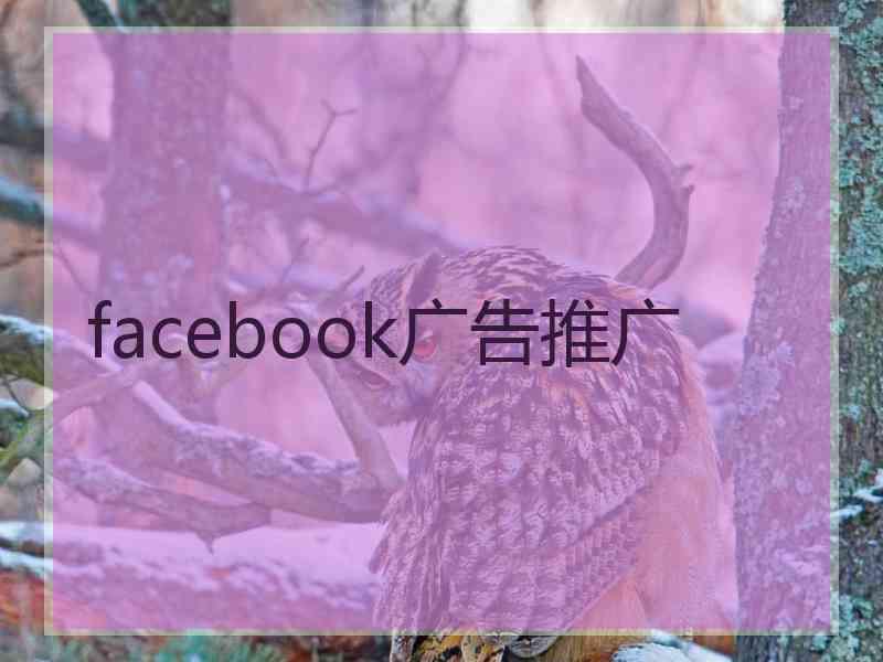 facebook广告推广