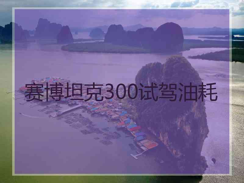 赛博坦克300试驾油耗