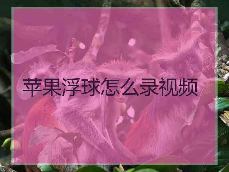 苹果浮球怎么录视频