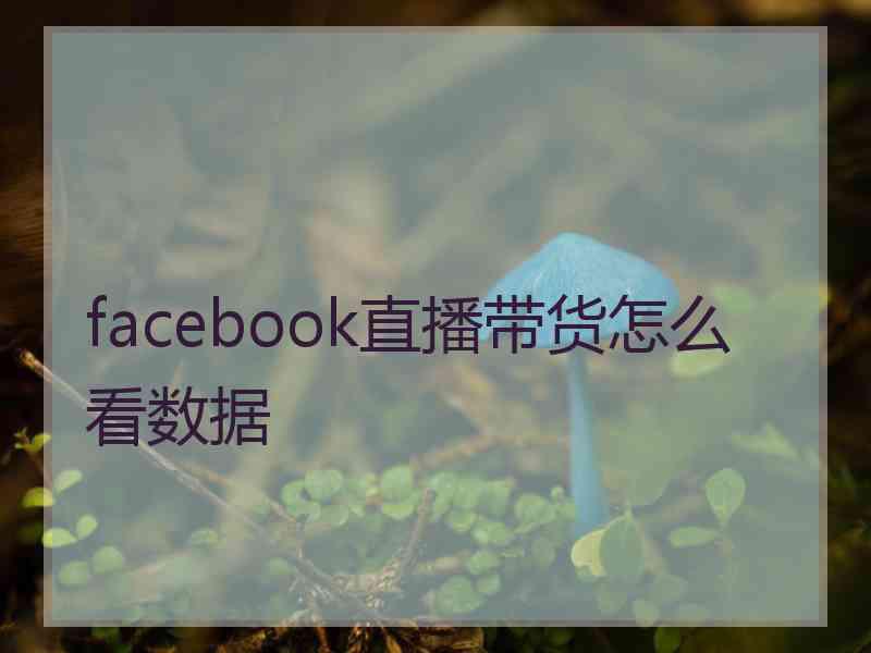 facebook直播带货怎么看数据