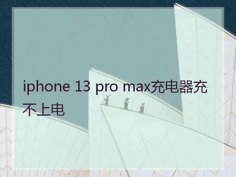 iphone 13 pro max充电器充不上电