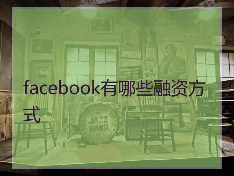 facebook有哪些融资方式