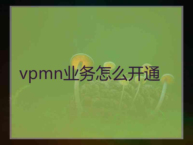 vpmn业务怎么开通