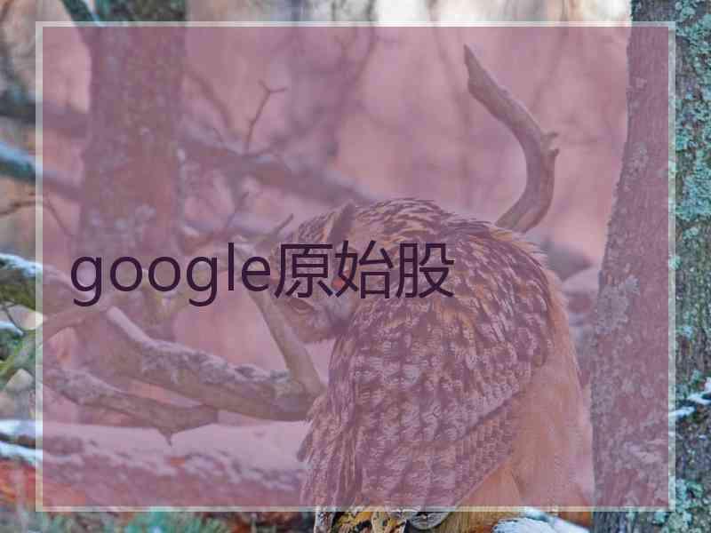 google原始股