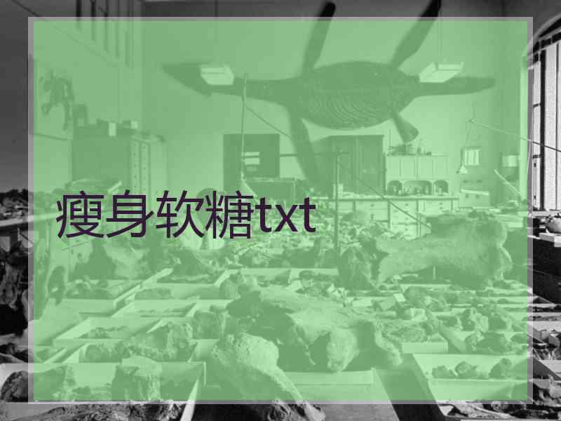 瘦身软糖txt