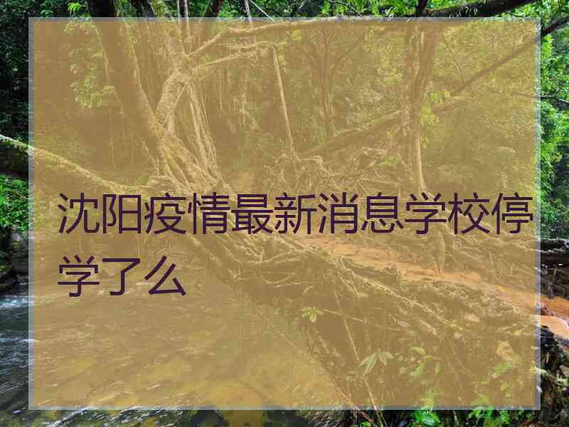 沈阳疫情最新消息学校停学了么