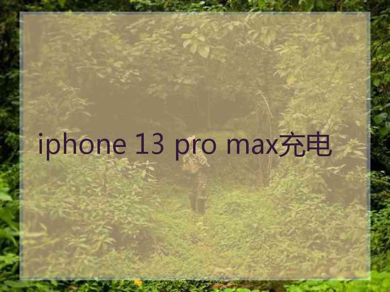 iphone 13 pro max充电