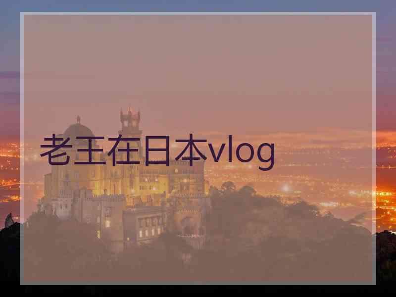 老王在日本vlog