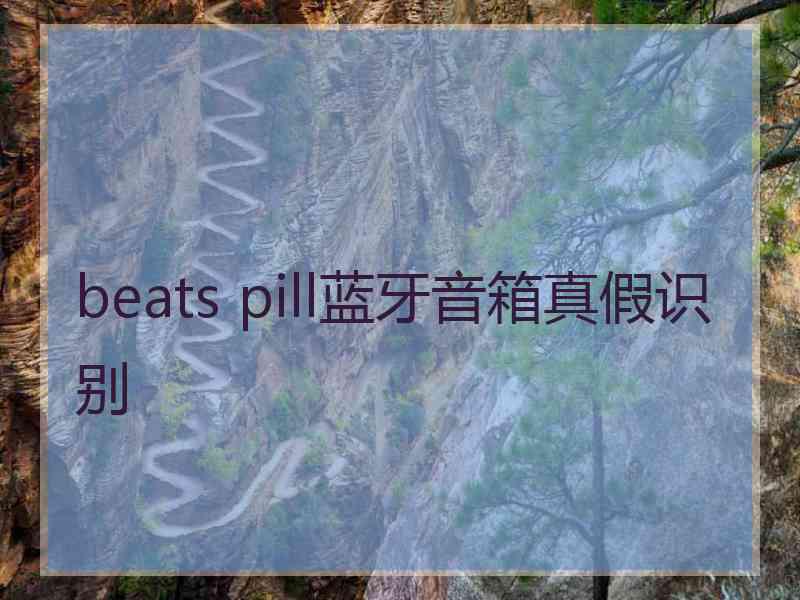 beats pill蓝牙音箱真假识别