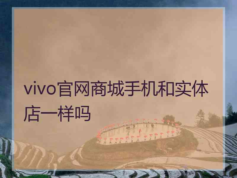 vivo官网商城手机和实体店一样吗