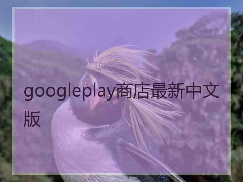 googleplay商店最新中文版