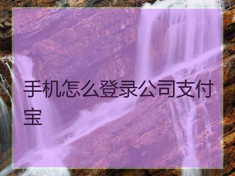 手机怎么登录公司支付宝