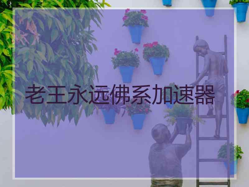 老王永远佛系加速器