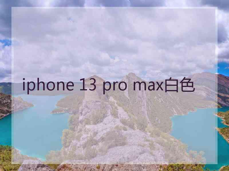 iphone 13 pro max白色