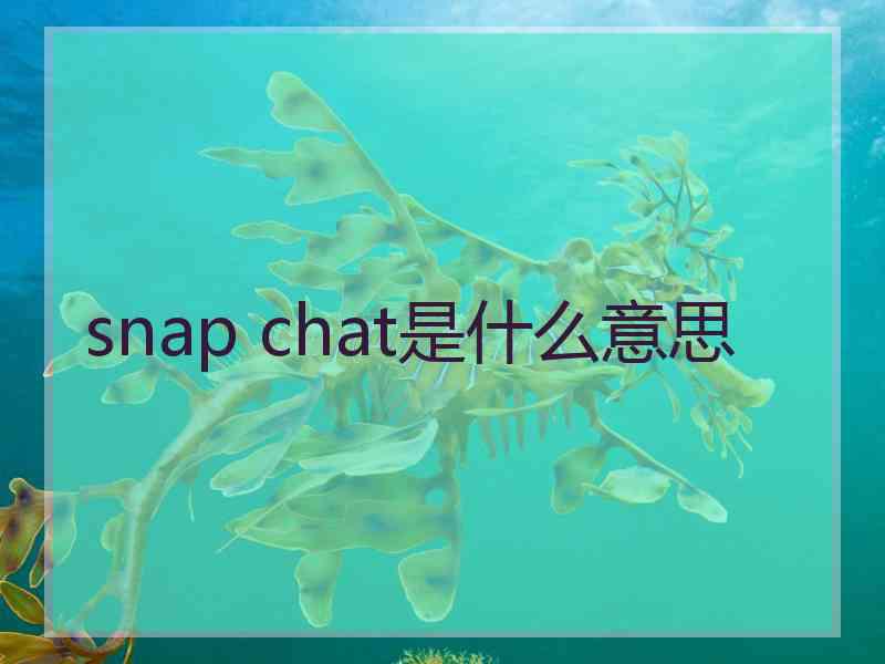 snap chat是什么意思