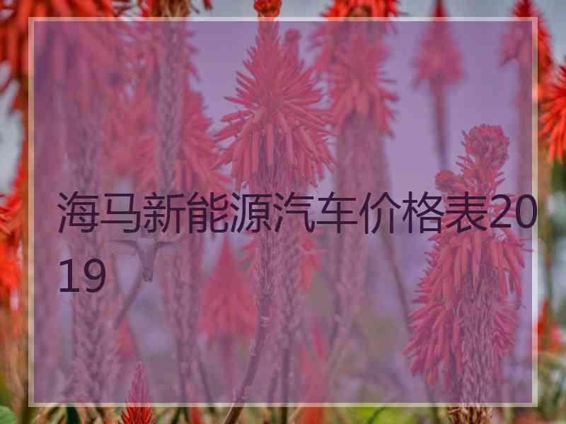 海马新能源汽车价格表2019