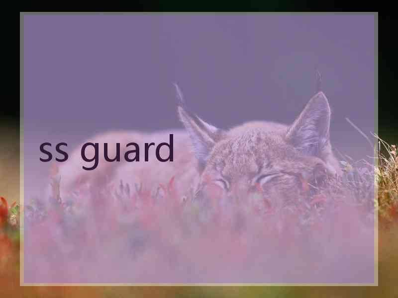 ss guard